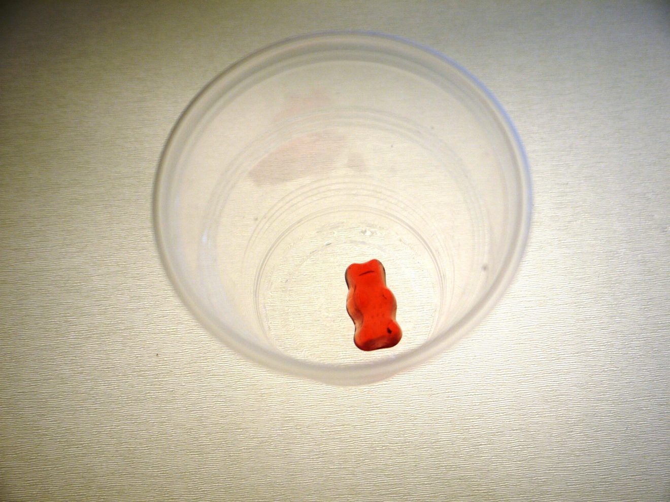 gummy bear osmosis experiment control